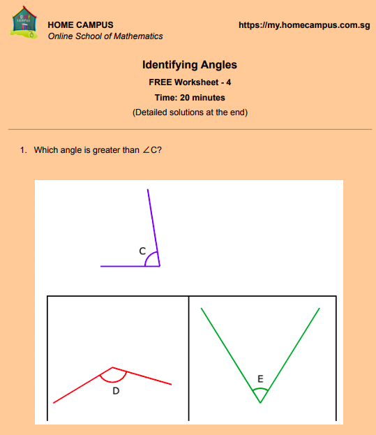 Free PDF Worksheets On Identifying Angles Home Campus