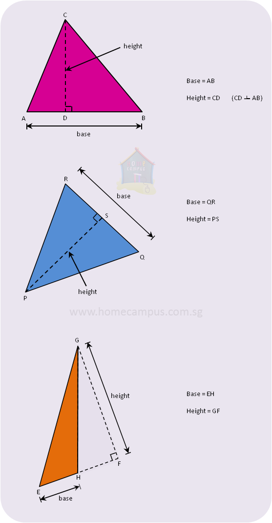 what is the base and height of a right triangle